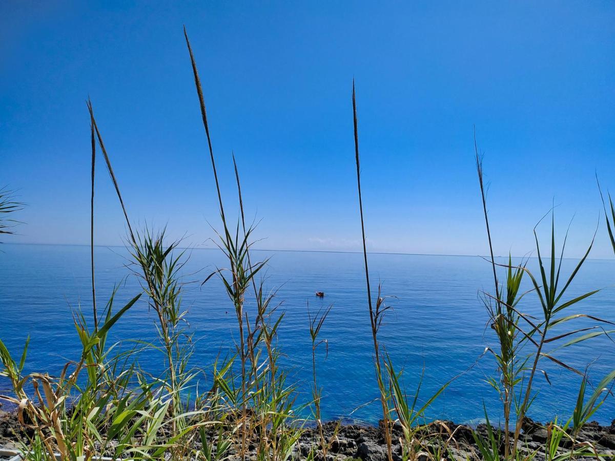 Villa Marina Di Andrano - Alisso, Casa Vista Mare Con Parcheggio Privato E Wifi Extérieur photo