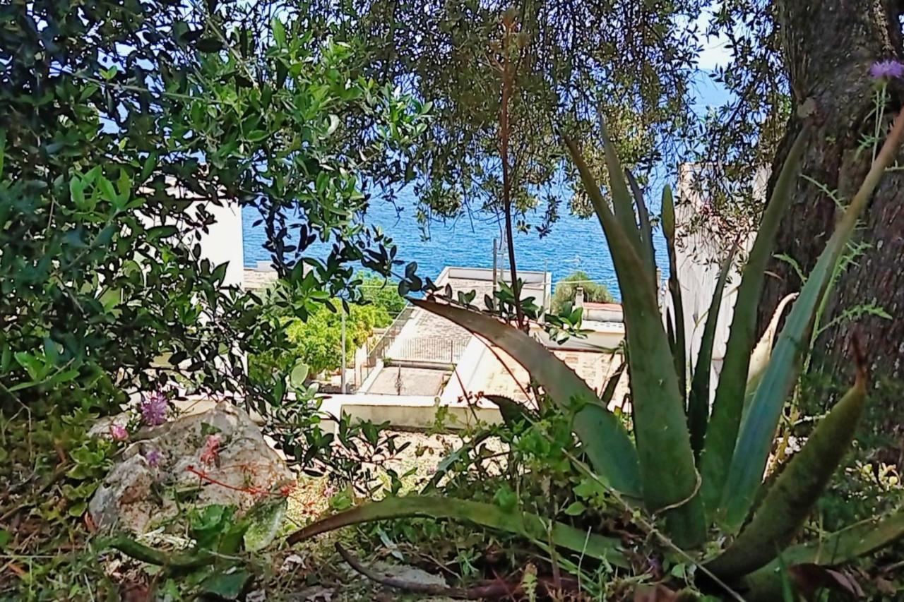 Villa Marina Di Andrano - Alisso, Casa Vista Mare Con Parcheggio Privato E Wifi Extérieur photo